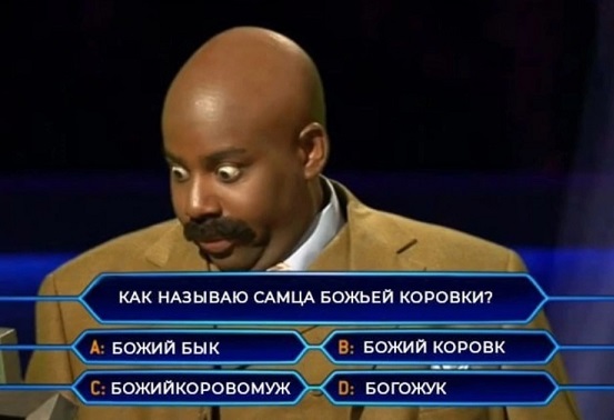 Доставка новостей