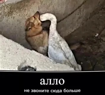 Убийство в «Зиларте»