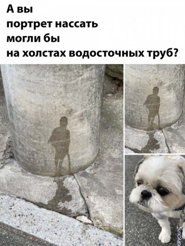 Картинки для деградации 30 (разной степени свежести)