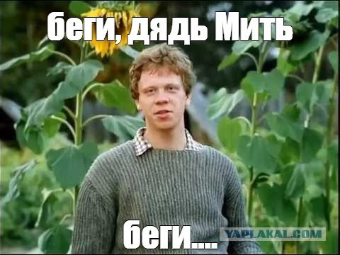 И снова Долина