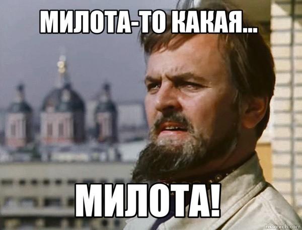 Я друга нового привёл