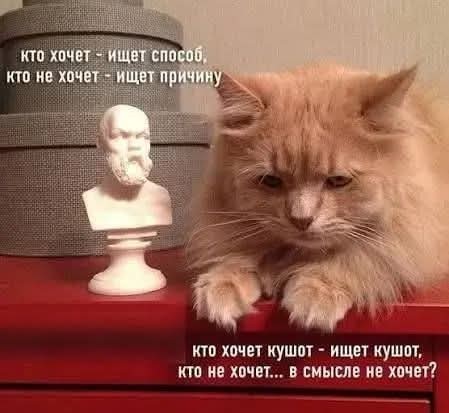 Маленькая пятница 25.02