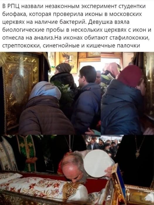 Картинки из мусорной корзины 02.05.26