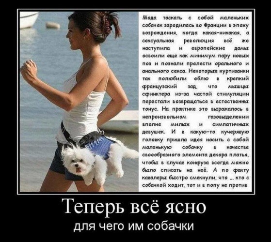 Кого нужно с собой возить, чтобы не было проблем с ДПС