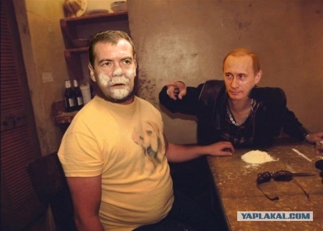 Жизнь по Медведеву