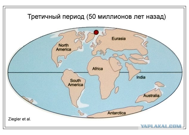 Осколок третичной эпохи джек лондон