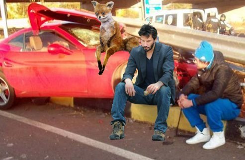Спорт с улыбкой, интересности в сети