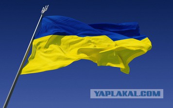 «Идите работать!»: фотографии с Грушевского