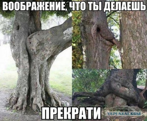 Позитивные картинки
