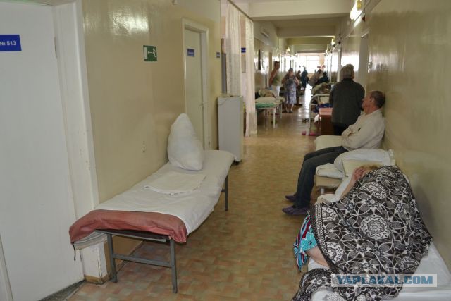 Сколько стоит попасть в общественную палату?