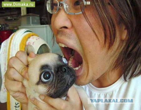 Стоять-бояться