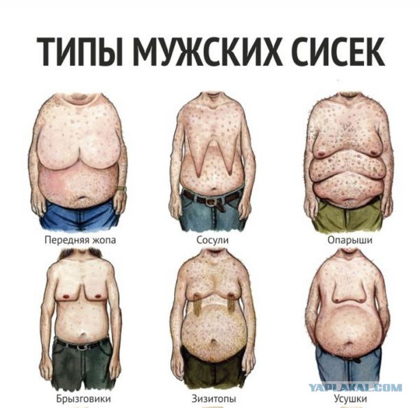 Девочка и Дельфины.