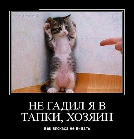 Немного позитива на пятницу.