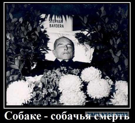 Мобилизационная паника