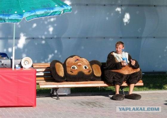 Весёлое из сети