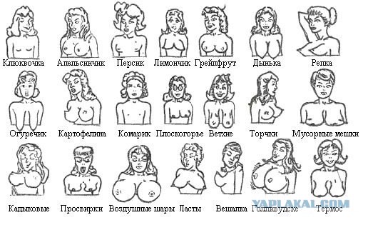 Формула, парализующая мужской мозг
