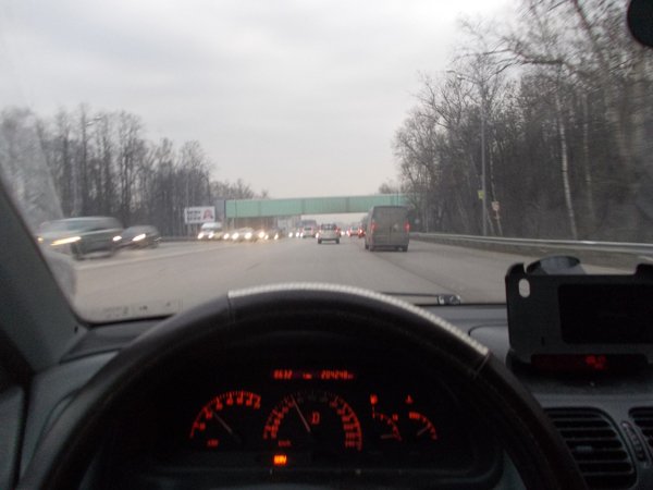 Один рабочий день ветеринара