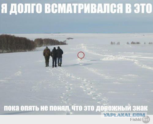 Картинки разные