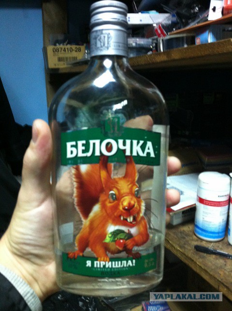 Белки забавные