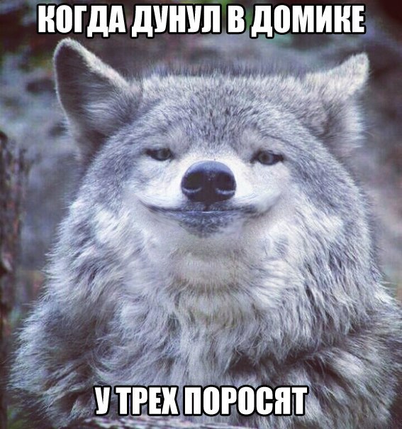 Придет серенький волчок