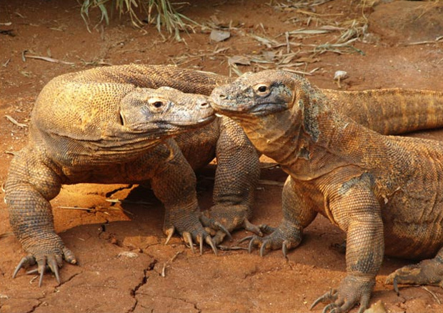 Эти глаза напротив. Калейдоскоп.