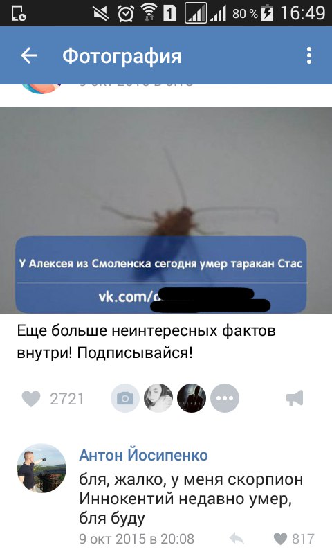 Ужасы и приколы из соцсетей 18+