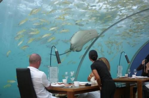 Подводный ресторан (фото, супер романтика)