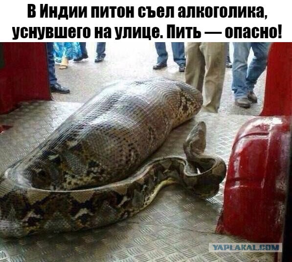 Сегодня испытал истинный восторг от того, что я не пью!