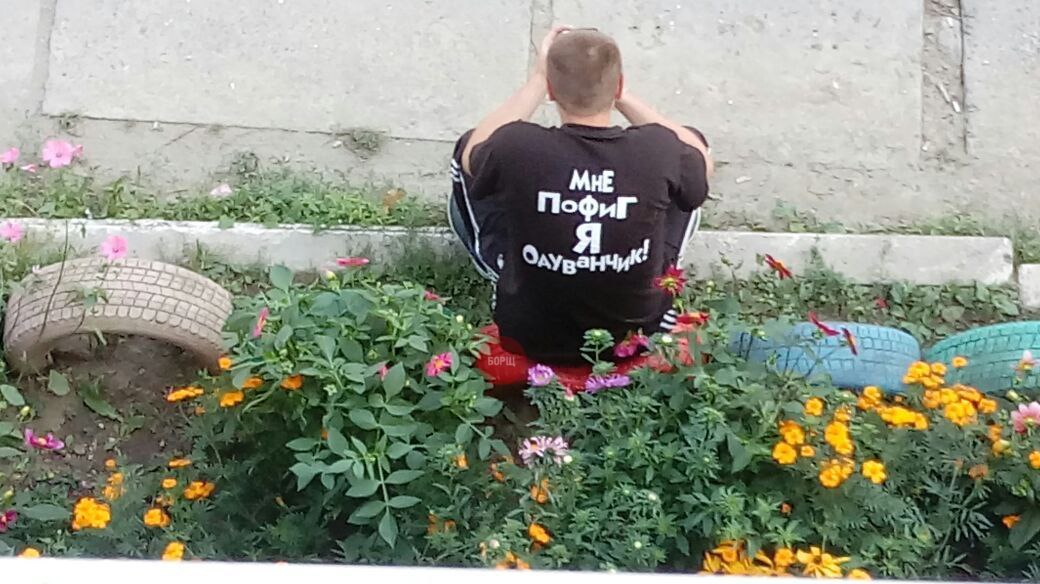 Картинки пофиг на все