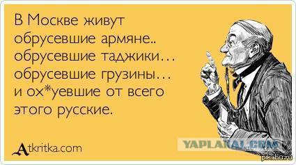 Несколько нетолерантных картинок