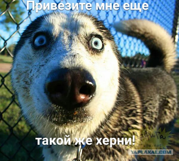 Кажется он не очень доволен
