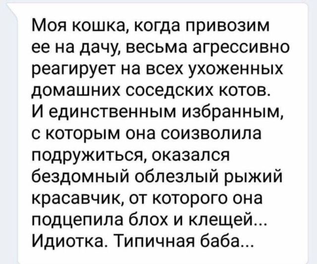 Нестандартный юмор