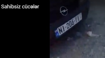 В Грузинском городе Марнеули на свалку выбросили множество яиц, посчитав их испорченными.