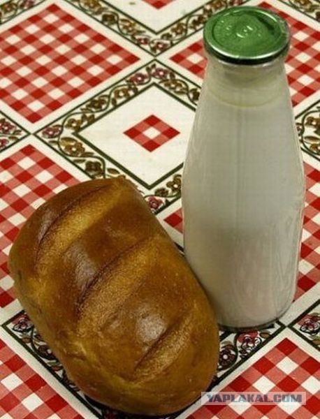Пластмассовый мир победил?
