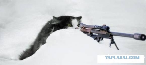 Шарик WIN!