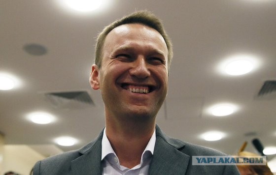 На главу ЦИК Эллу Памфилову напали у нее дома и ударили электрошокером