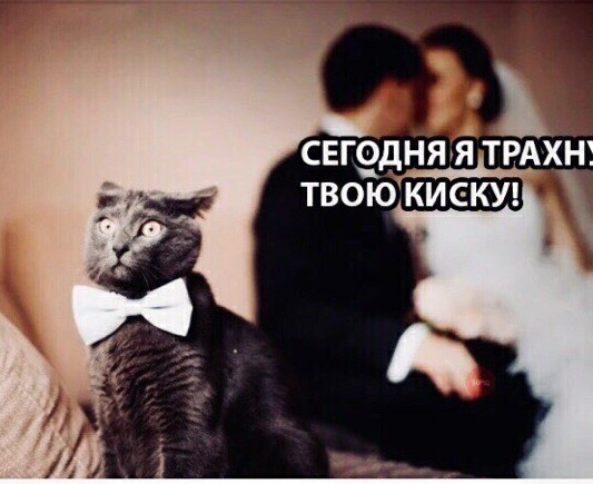 Так, что тут у нас происходит?