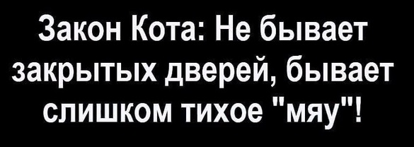 Немного картинок для настроения 19.10.19