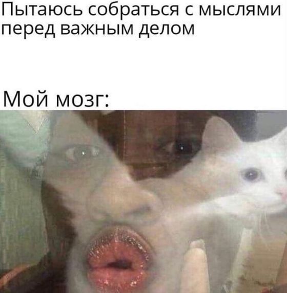 Домашняя философия