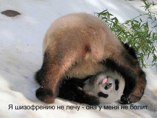 Чуток картинок 03.12.19