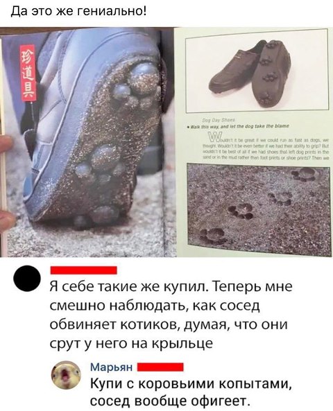 Бредзона 29.01.2020
