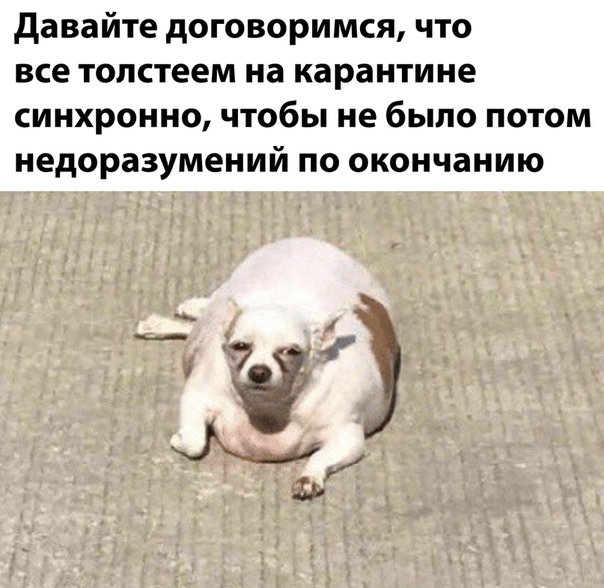 Немного картинок для настроения 06.05.20