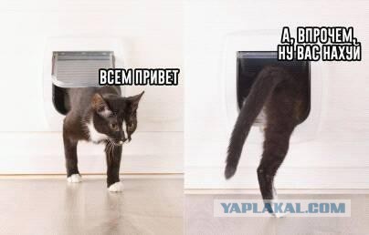 Женщина заводит любовника