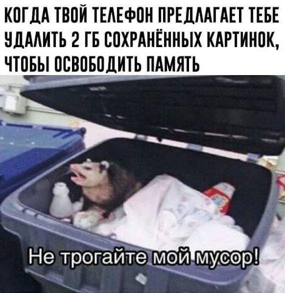 Дурацкие картинки