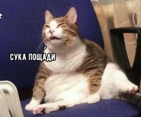 Когда вампир попал на солнце