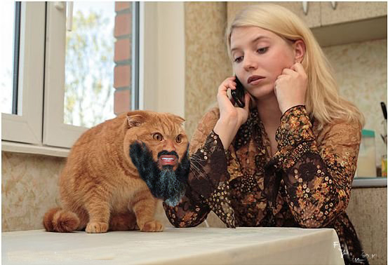 Жабим бороду?