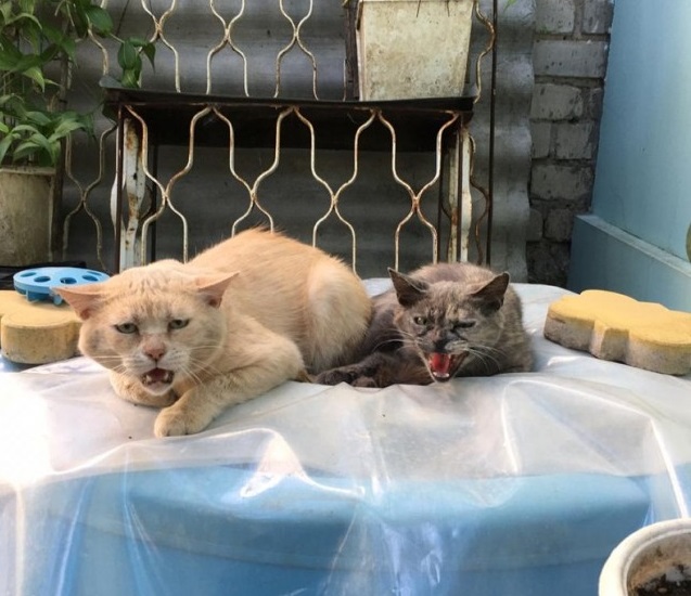 Моя красотка