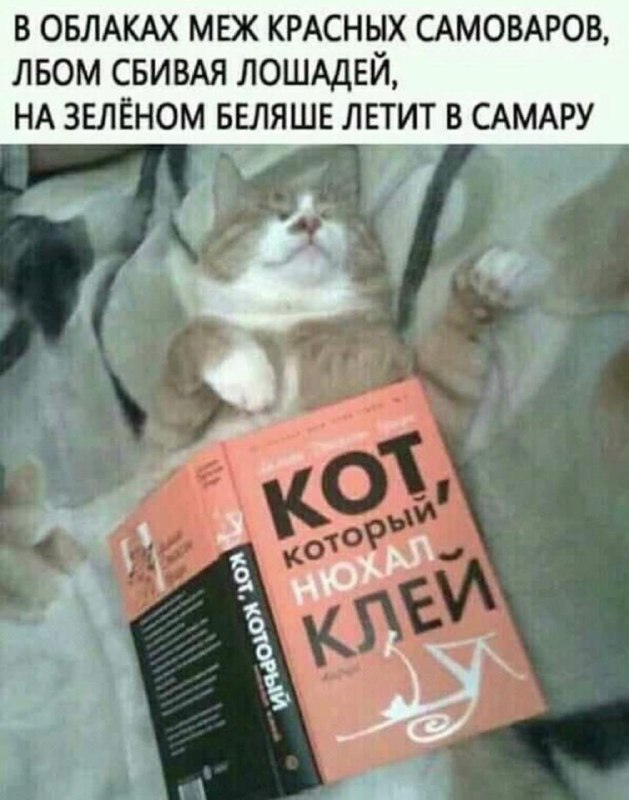 Забайкальские казаки в центре Сиднея устроили перебранку со сторонниками Навального
