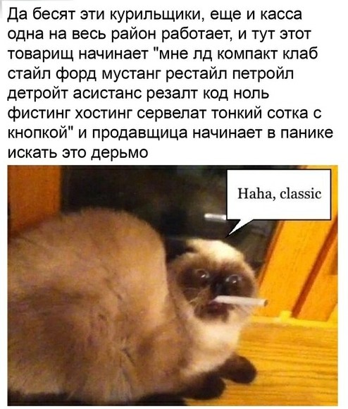 Картинки и мемы для настроения 016