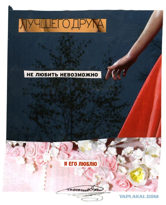Новые хокку в картинках